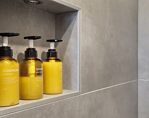 Verzorgingsproducten in de douche van Vakantiehuisje in Een, Noord Drenthe, voor een luxe ervaring.