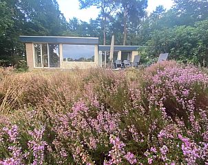 Guest house 180221 - Bungalow Noord Drenthe - Vakantiehuisje Kikker