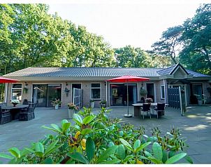 Ruim terras van vakantiehuis Rendez vous in Zuidlaren, Noord Drenthe, met rode parasols en groene omgeving.