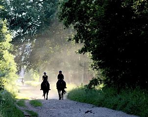 Verblijf 180503 - Bungalow Noord Drenthe - Rendez vous