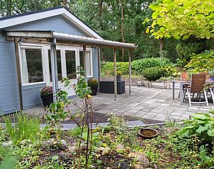 Terras van Huisje in Zuidlaren met tuinset en groene omgeving, Noord Drenthe, Drenthe.
