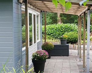 Overdekte veranda van Huisje in Zuidlaren met bloempotten, Noord Drenthe, Drenthe.