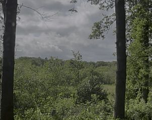 Verblijf 180507 - Vakantiewoning Noord Drenthe - Vakantiehuis in Zuidlaren