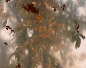 Verblijf 180507 - Vakantiewoning Noord Drenthe - Vakantiehuis in Zuidlaren