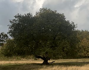 Verblijf 180507 - Vakantiewoning Noord Drenthe - Vakantiehuis in Zuidlaren