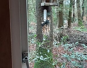 Unterkunft 1809100 - Ferienhaus Noord Drenthe - Vakantiehuis in Norg