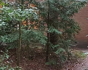 Unterkunft 1809100 - Ferienhaus Noord Drenthe - Vakantiehuis in Norg