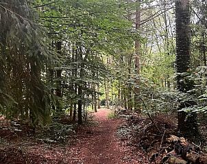 Unterkunft 1809113 - Ferienhaus Noord Drenthe - Vakantiehuis in Norg