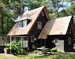 Verblijf 1809120 • Vakantiewoning Noord Drenthe • Ruim vakantiehuis voor 8 personen, gelegen in de bossen van 