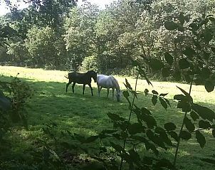 Verblijf 1809130 - Vakantiewoning Noord Drenthe - l'Oiseau Bleu (Z11 Norg)