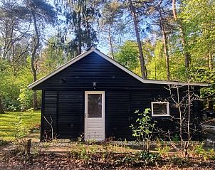 Unterkunft 180916 - Ferienhaus Noord Drenthe - Huisje in Norg