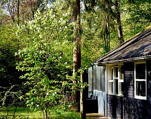 Unterkunft 180916 - Ferienhaus Noord Drenthe - Huisje in Norg
