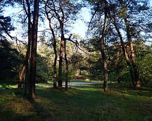 Unterkunft 180916 - Ferienhaus Noord Drenthe - Huisje in Norg