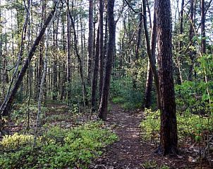 Unterkunft 180916 - Ferienhaus Noord Drenthe - Huisje in Norg