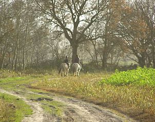 Unterkunft 180922 - Ferienhaus Noord Drenthe - Vakantiehuisje in Norg