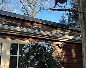 Detail van Vakantiehuisje in Norg, Noord Drenthe, met vogelhuisje in de tuin.