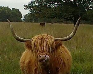 Unterkunft 180926 - Ferienhaus Noord Drenthe - Vakantiehuis in Norg