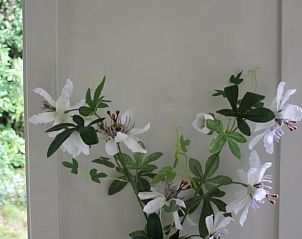 Unterkunft 180931 - Ferienhaus Noord Drenthe - Vakantiehuisje in Norg