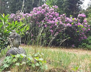 Unterkunft 180931 - Ferienhaus Noord Drenthe - Vakantiehuisje in Norg