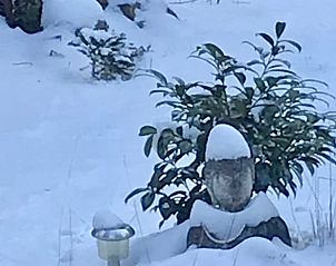 Unterkunft 180931 - Ferienhaus Noord Drenthe - Vakantiehuisje in Norg