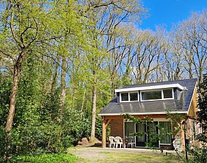 Ferienhaus in Norg, Nord-Drenthe, umgeben von Natur, ideal fr Entspannung in den Wldern von Drenthe.