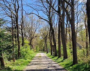 Unterkunft 180944 - Ferienhaus Noord Drenthe - Vakantiehuis in Norg