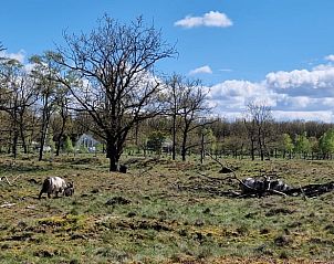 Unterkunft 180944 - Ferienhaus Noord Drenthe - Vakantiehuis in Norg