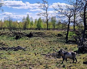 Unterkunft 180944 - Ferienhaus Noord Drenthe - Vakantiehuis in Norg