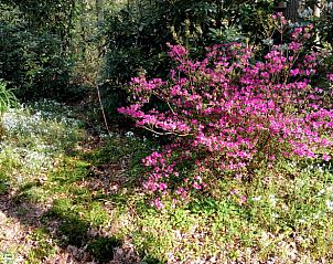 Unterkunft 180955 - Ferienhaus Noord Drenthe - Vakantiehuisje in Norg