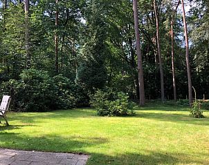 Grozgige grne Umgebung im Cottage in Norg, ideal fr Naturliebhaber in Nord-Drenthe, Drenthe.