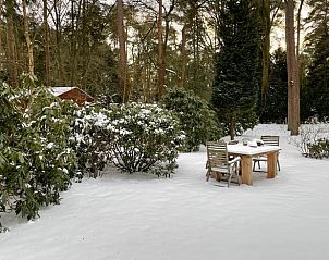 Verschneiter Garten im Cottage in Norg, einem Winterwunderland in Nord-Drenthe, Drenthe.