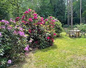 Bunte Blumen im Garten von Huisje in Norg, einer Oase der Ruhe in Nord-Drenthe, Drenthe.