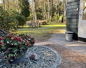 Gemtlicher Auenbereich im Cottage in Norg, ideal zum Entspannen in Nord-Drenthe, Drenthe.