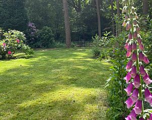 Grner Garten mit Blumen in Cottage in Norg, ein Paradies in Nord-Drenthe, Drenthe.