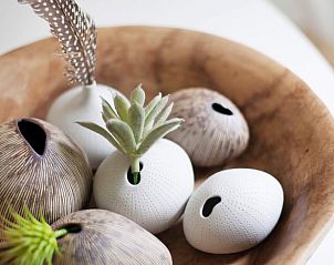 Stilvolle Dekoration im Ferienhaus in Norg, Nord-Drenthe, fr eine gemtliche Atmosphre.