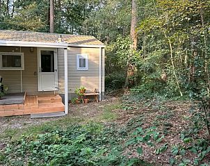 Unterkunft 180993 - Chalet Noord Drenthe - Boshuisje