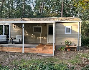 Unterkunft 180993 - Chalet Noord Drenthe - Boshuisje