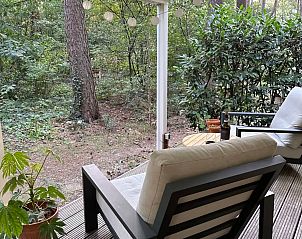 Unterkunft 180993 - Chalet Noord Drenthe - Boshuisje