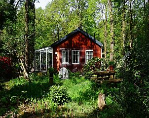 Verblijf 180995 • Vakantiewoning Noord Drenthe • Bosrijk gelegen 4 persoons vakantiehuis met prachtige tuin 