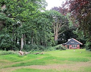 Groene weide rondom Vakantiehuisje in Midlaren, Noord Drenthe, ideaal voor een ontspannende vakantie.