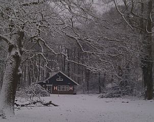 Unterkunft 181003 - Ferienhaus Noord Drenthe - Vakantiehuisje in Midlaren