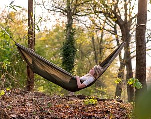 Ontspannen in een hangmat bij Vakantiehuisje in Midlaren, Noord Drenthe, Drenthe, omgeven door natuur.