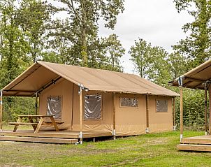 Unterkunft 181114 • Zelthaus Noord Drenthe • Safaritent 4 