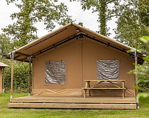 Guest house 181114 - Tent house Noord Drenthe - Safaritent 4