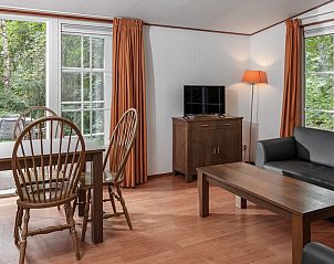 Gezellige binnenruimte van chalet LU6 in Borger, Drenthe met uitzicht op natuur.