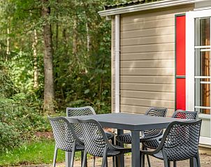 Buitenterras van chalet LU6 in Borger, Drenthe omgeven door natuur.