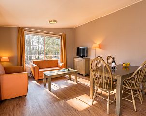 Gezellige woonkamer in chalet LU4M in Borger, Drenthe, met warme inrichting en uitzicht op de natuur.