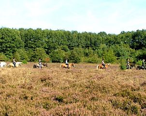 Paardrijden in de heidevelden nabij Vakantiehuisje in Schipborg, Drenthe met prachtige natuur.