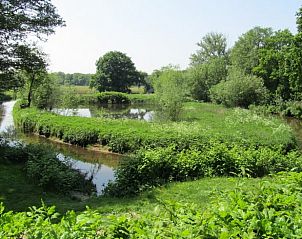 Weelderige groene omgeving rondom vakantiehuisje in Schipborg, Drenthe.
