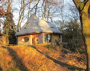 Vakantiehuis in Schipborg, Noord Drenthe, in gouden herfstlicht aan de bosrand.